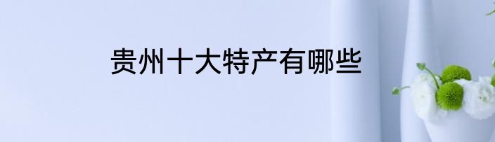 贵州十大特产有哪些