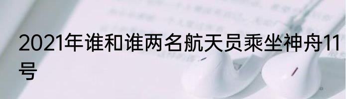 2021年谁和谁两名航天员乘坐神舟11号