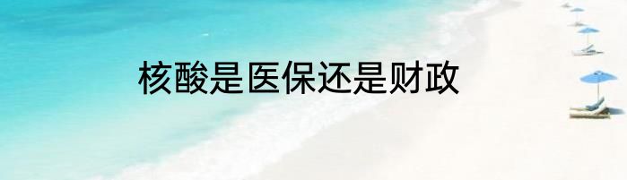 核酸是医保还是财政