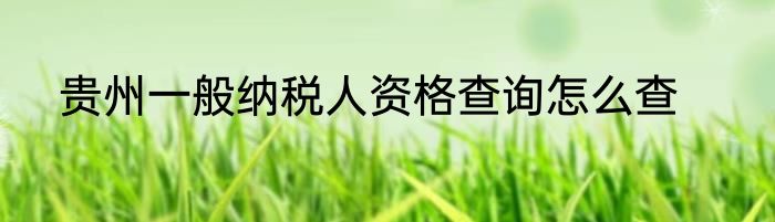 贵州一般纳税人资格查询怎么查