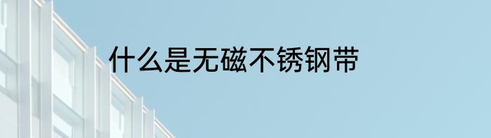 什么是无磁不锈钢带