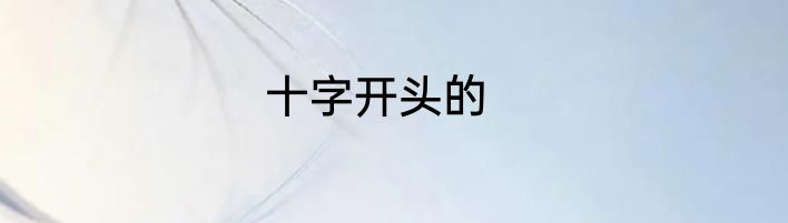 十字开头的