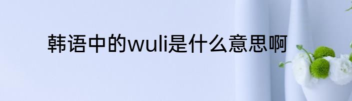 韩语中的wuli是什么意思啊