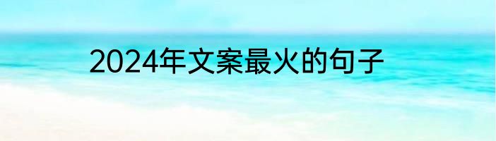2024年文案最火的句子