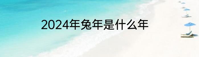 2024年兔年是什么年