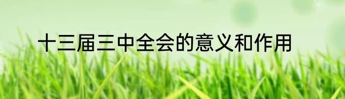 十三届三中全会的意义和作用