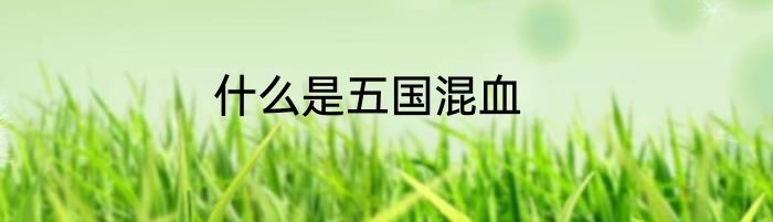 什么是五国混血