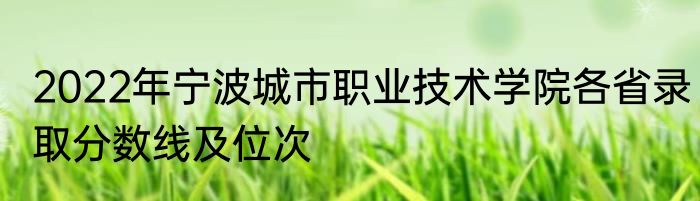 2022年宁波城市职业技术学院各省录取分数线及位次