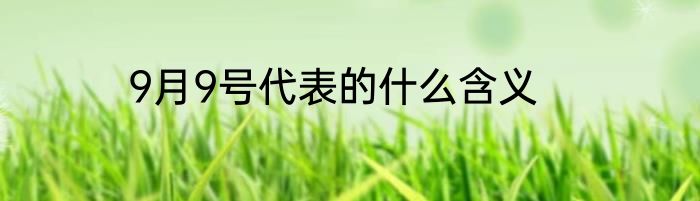 9月9号代表的什么含义