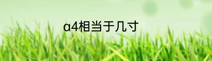 a4相当于几寸