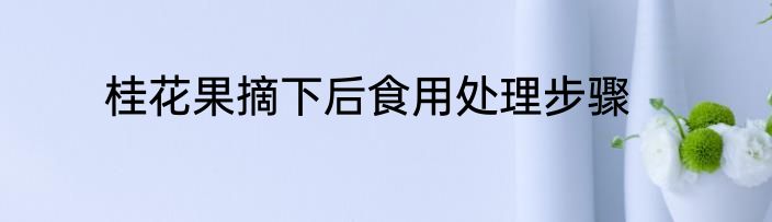 桂花果摘下后食用处理步骤