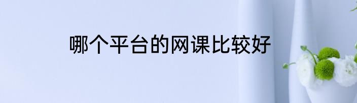 哪个平台的网课比较好