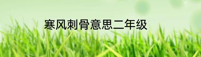 寒风刺骨意思二年级