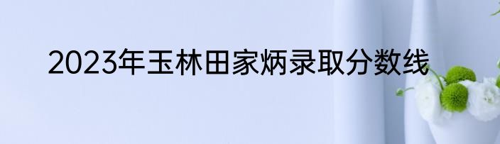 2023年玉林田家炳录取分数线