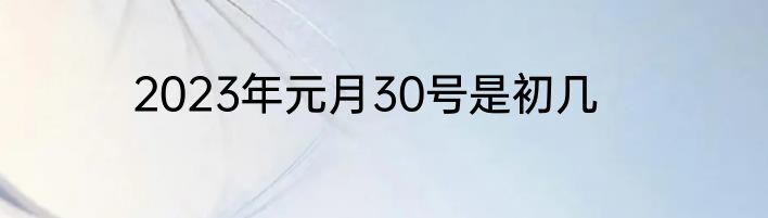 2023年元月30号是初几