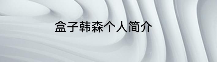 盒子韩森个人简介
