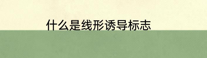 什么是线形诱导标志