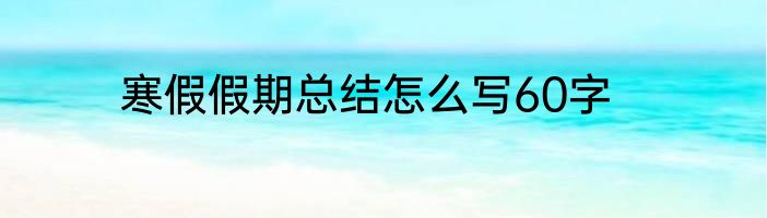 寒假假期总结怎么写60字