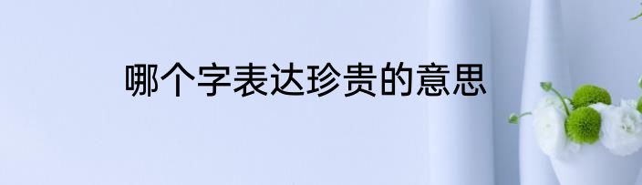 哪个字表达珍贵的意思