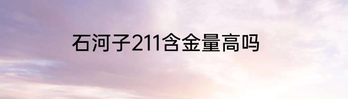 石河子211含金量高吗