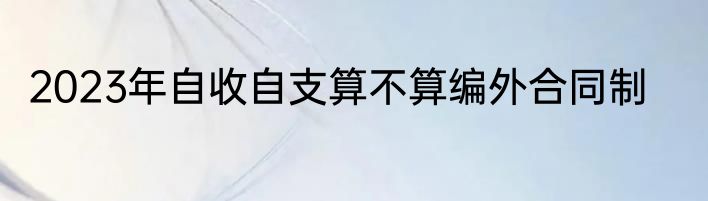 2023年自收自支算不算编外合同制