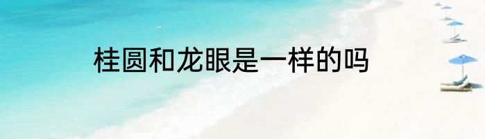 桂圆和龙眼是一样的吗