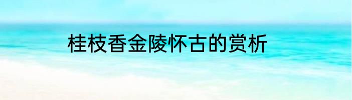 桂枝香金陵怀古的赏析
