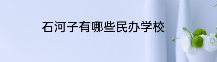 石河子有哪些民办学校