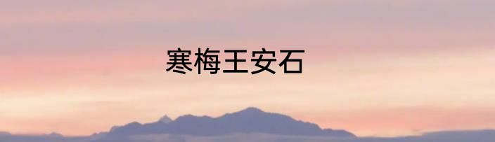 寒梅王安石