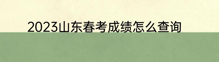 2023山东春考成绩怎么查询