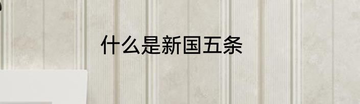 什么是新国五条