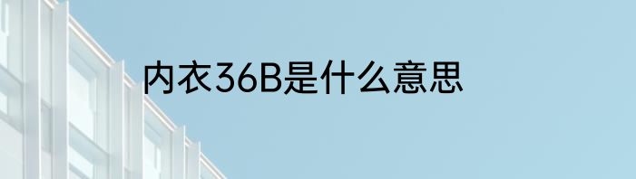 内衣36B是什么意思