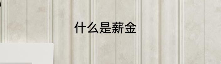 什么是薪金