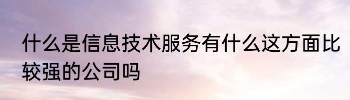 什么是信息技术服务有什么这方面比较强的公司吗