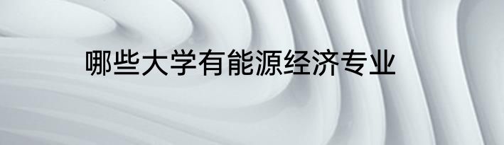 哪些大学有能源经济专业
