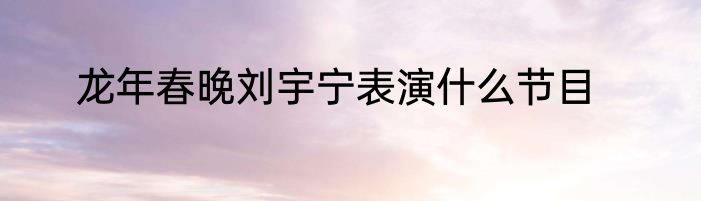 龙年春晚刘宇宁表演什么节目