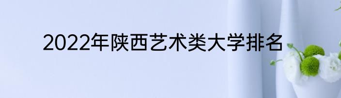 2022年陕西艺术类大学排名
