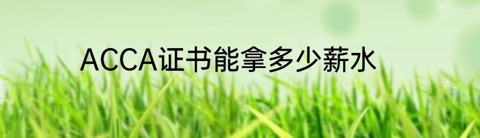 ACCA证书能拿多少薪水