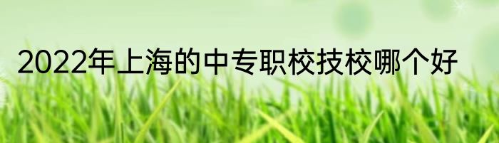 2022年上海的中专职校技校哪个好