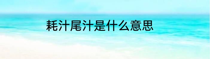 耗汁尾汁是什么意思