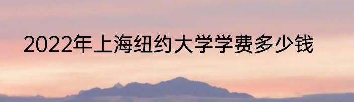2022年上海纽约大学学费多少钱