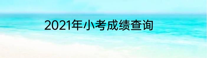 2021年小考成绩查询