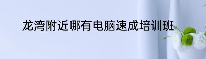 龙湾附近哪有电脑速成培训班
