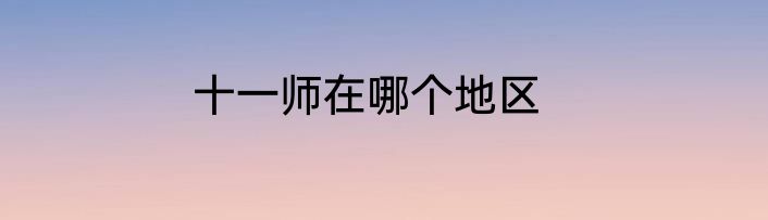 十一师在哪个地区