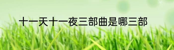 十一天十一夜三部曲是哪三部