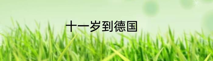 十一岁到德国