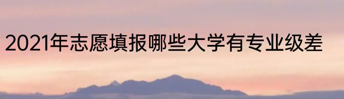 2021年志愿填报哪些大学有专业级差