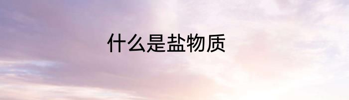什么是盐物质