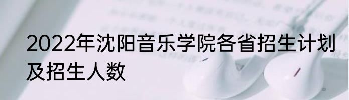 2022年沈阳音乐学院各省招生计划及招生人数