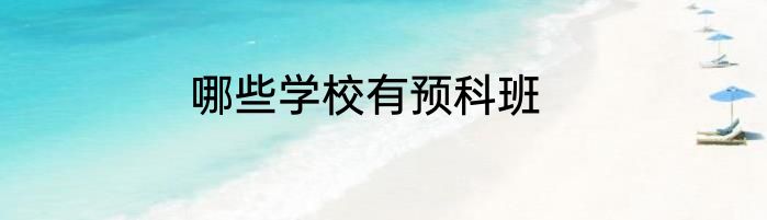 哪些学校有预科班